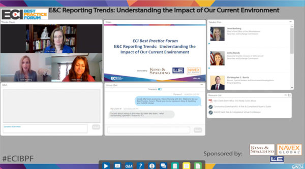 Screenshot depicting Jane Norberg and Anita Bandy presenting at ECI's Best Practice Forum